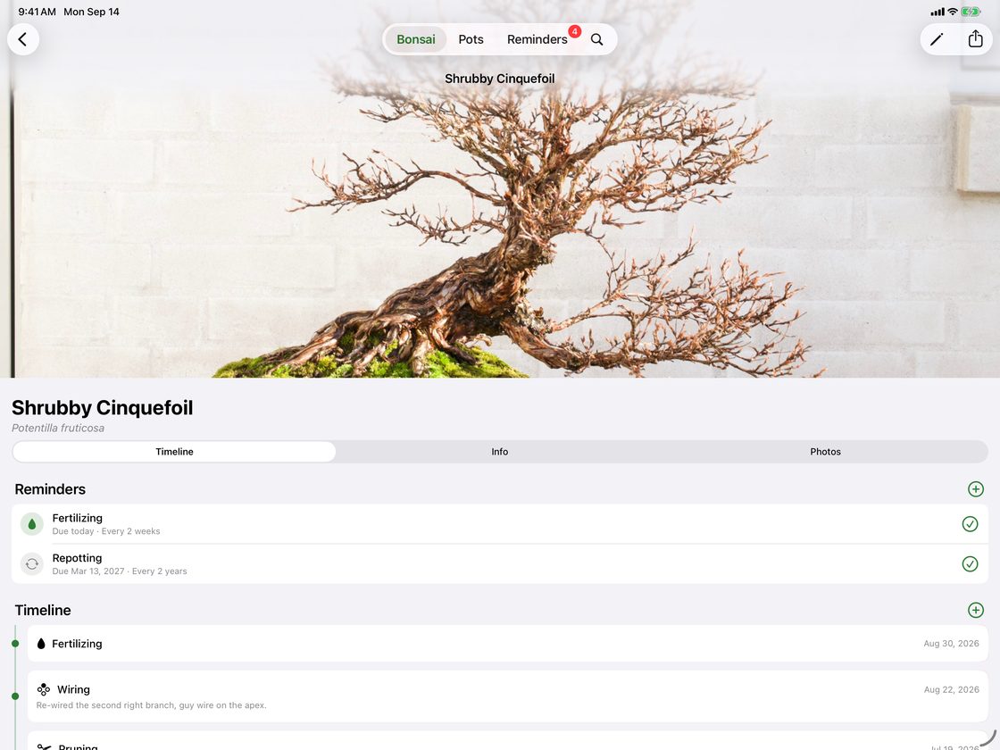 BonsaiGlobe on iPad in landscape: a tree page with the portrait photo, reminders and the timeline