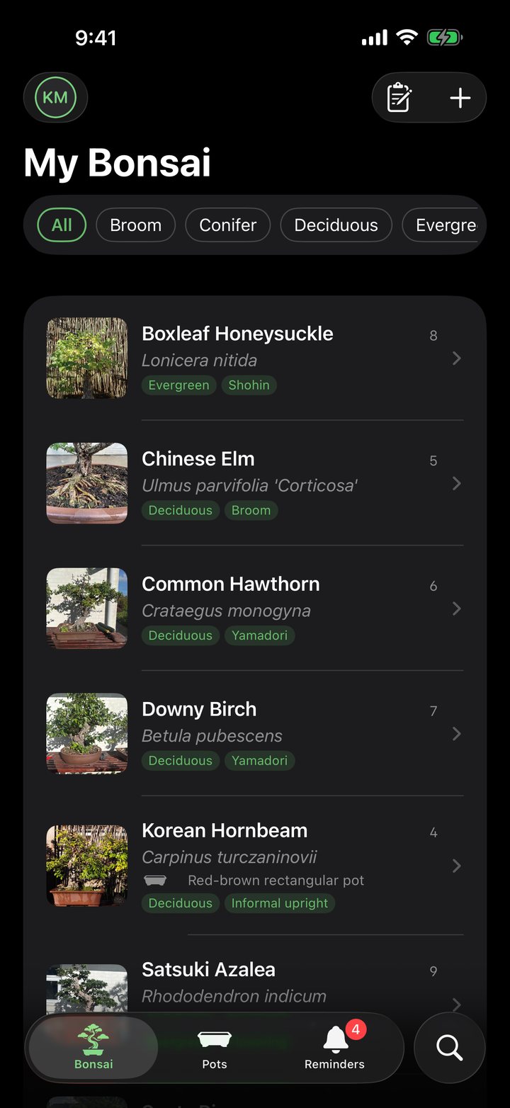 The Bonsai tab in dark mode